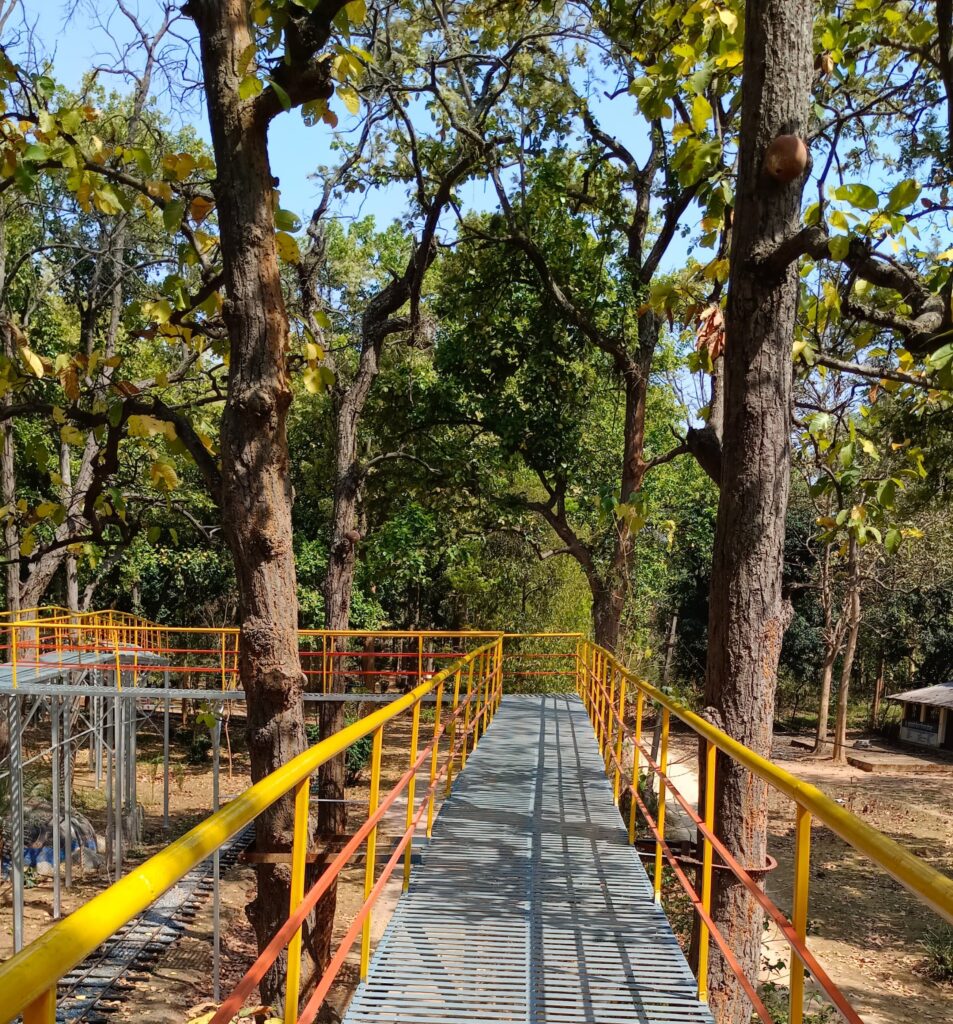 संजय पार्क, अंबिकापुर