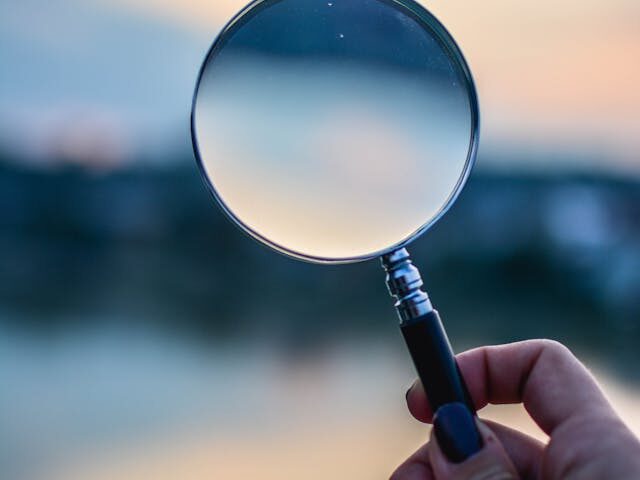 कैसे हुआ घोटाले का खुलासा ?