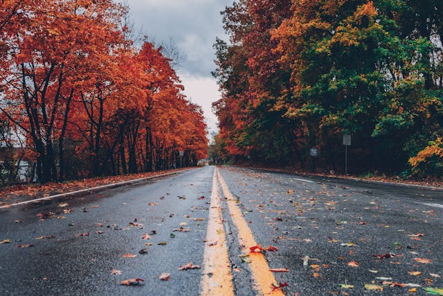 Road