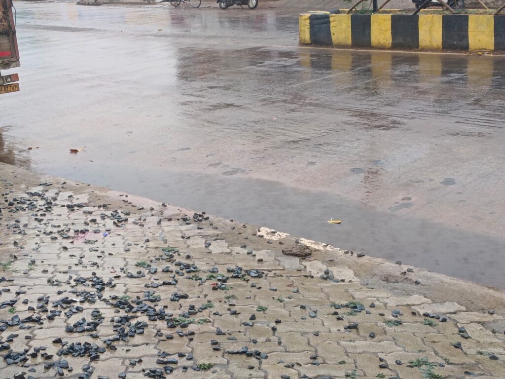 रिंग रोड, अंबिकापुर (सरगुजा)